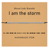 I am the Storm